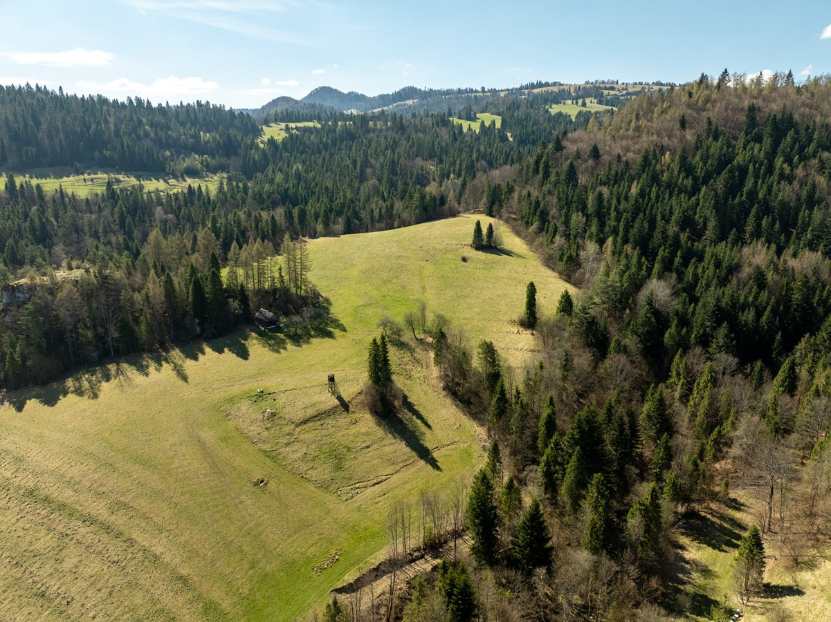 Działka widokowa | Szlachtowa | ok. 1921 m² - More