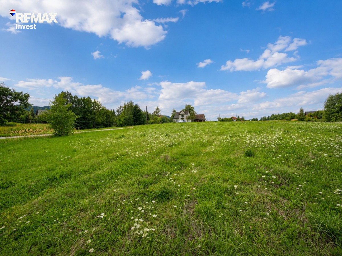 Roczyny ul. Szkolna/Wiedeńska 12 arów - Widok 4