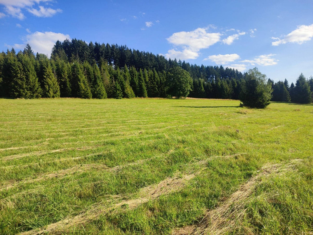 Działka rolna w Złatnej – 2944 m² - Widok 2