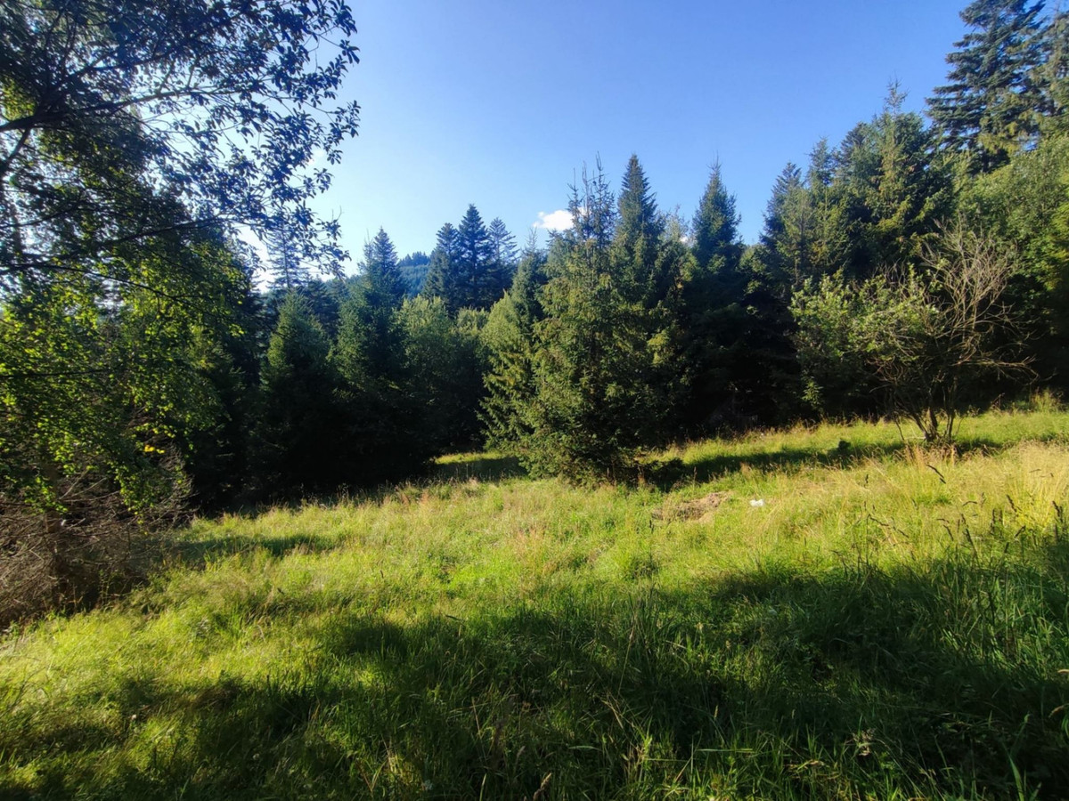 6245 m² w Złatnej – przestrzeń, las, góry i potencjał - Widok 4