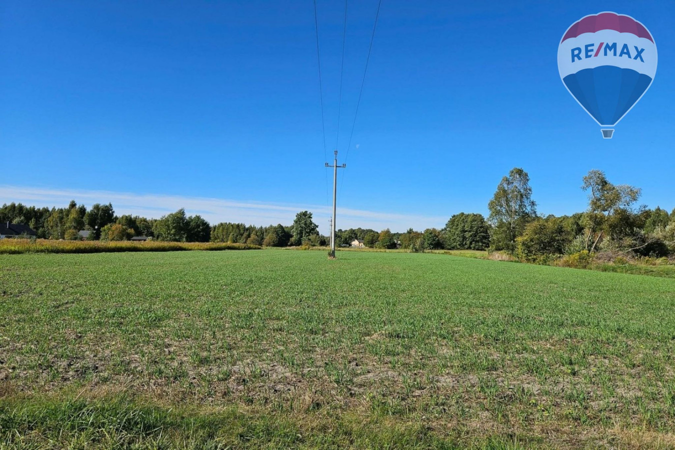 Działka budowlana 4180 m², Benenard, gm. Radziejowice - Widok 3
