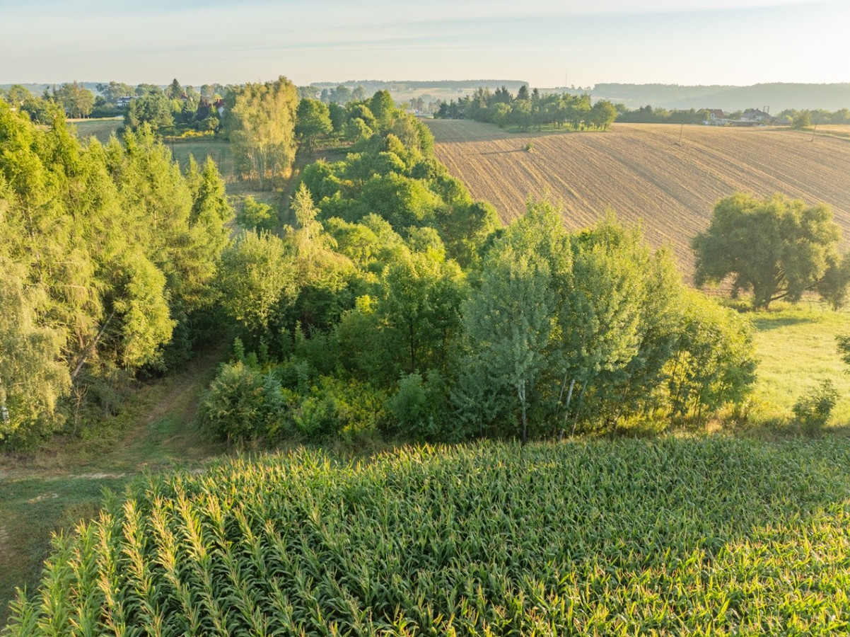 80 arów | pozwolenie na budowę 2 domów - Więcej