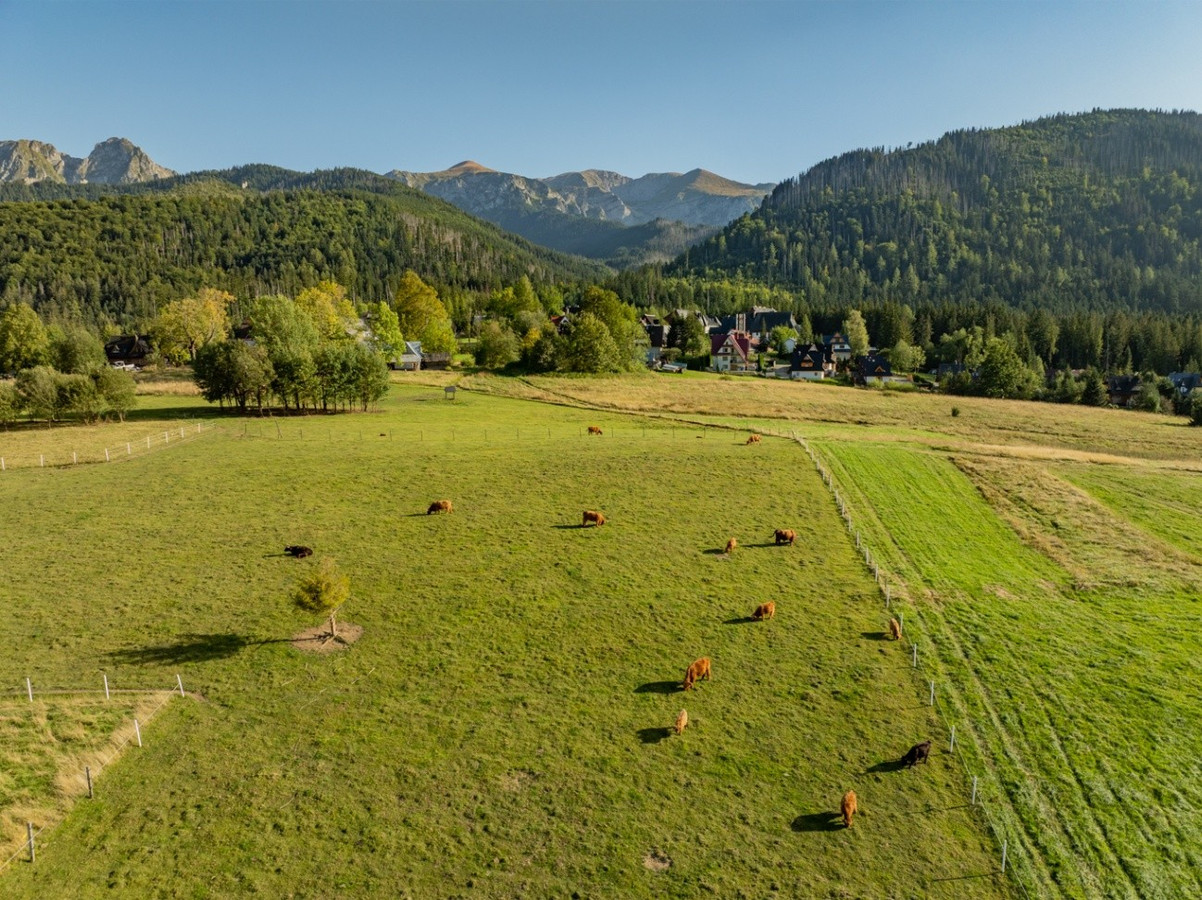Działka rolna 3115 m² | Kościelisko - Widok 3