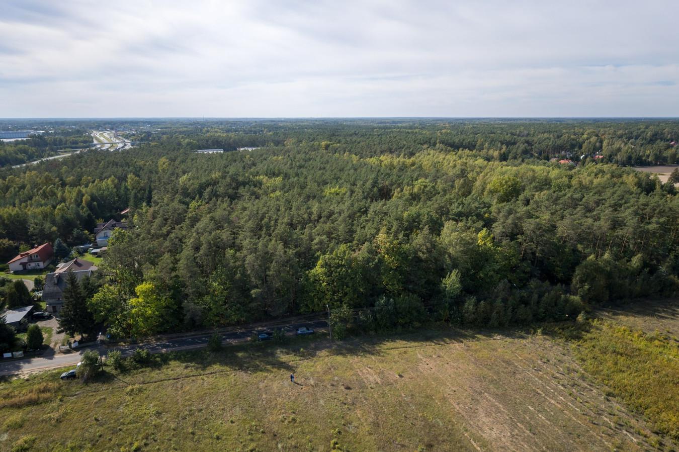 Działka leśna z potencjałem - Widok 3