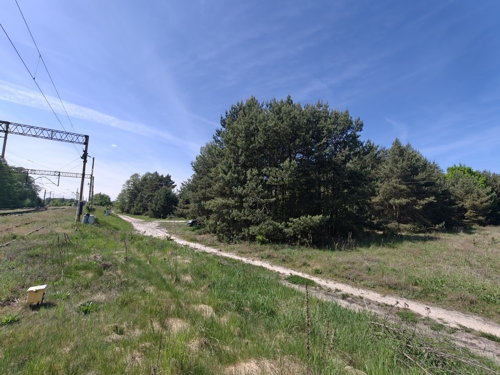 Michałów - urokliwa działka budowlana 5500 m² - Widok 6
