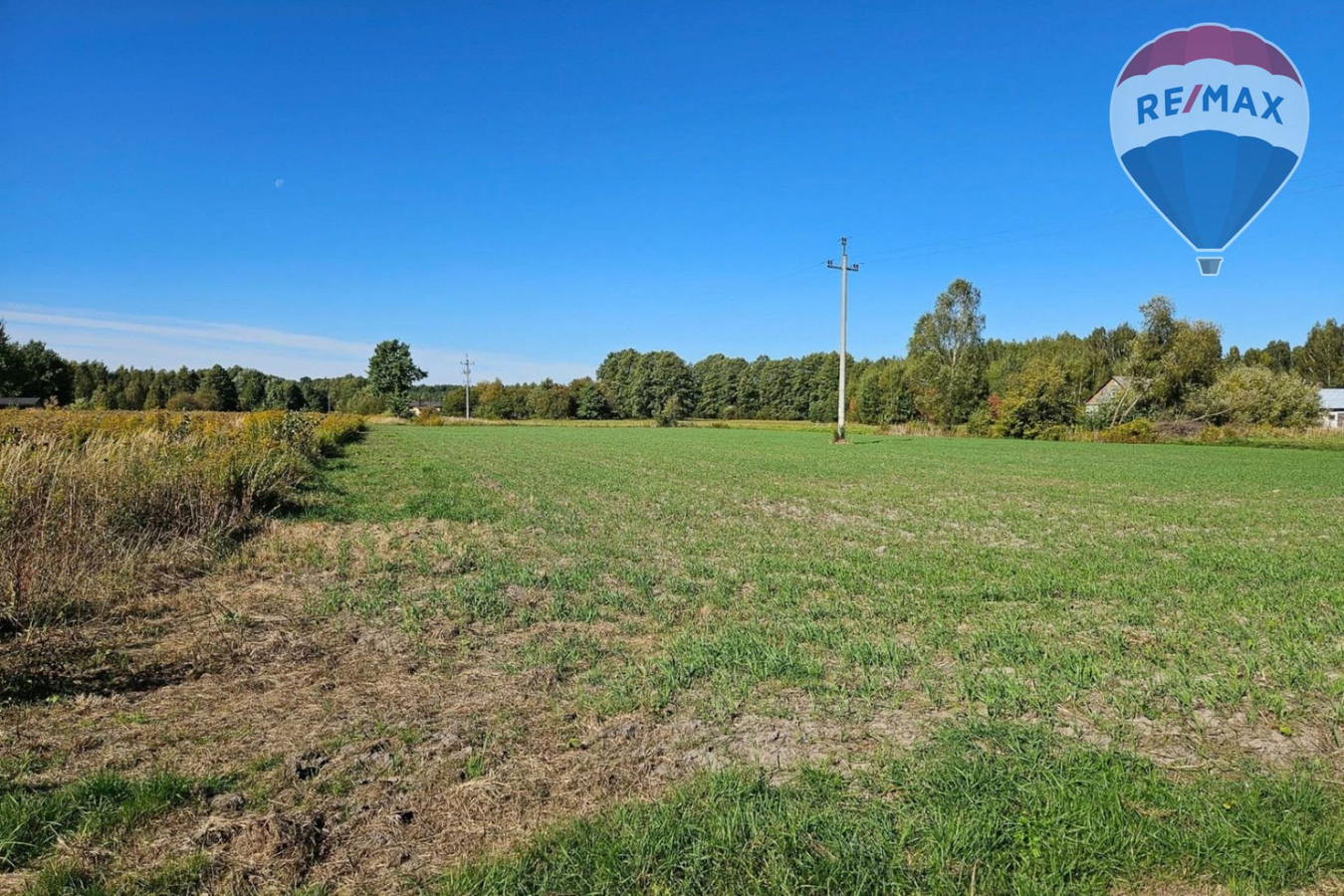Działka budowlana 4180 m², Benenard, gm. Radziejowice - Więcej