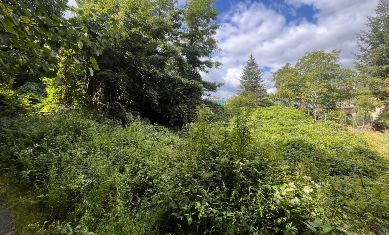 Teren inwestycyjny 3 423 m² (kompleks 4 działek) - Widok 3