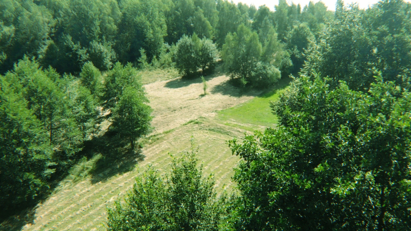 Działka rolna z dopuszczeniem zabudowy zagrodowej | 2393 m² - Widok 4