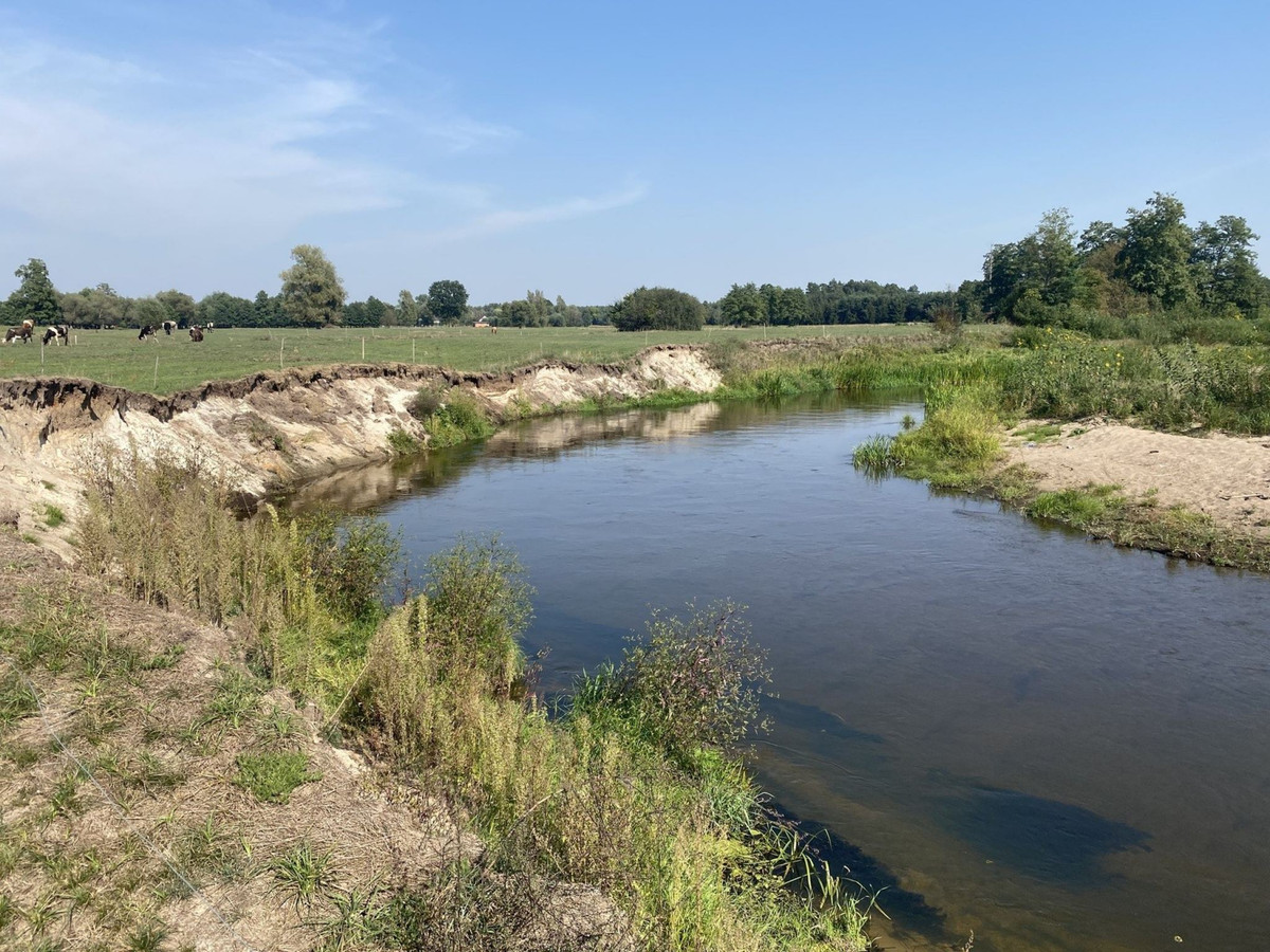 Działka nad rzeką Liwiec - Widok 4