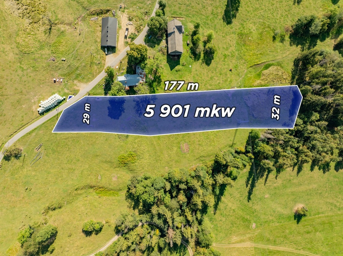 Sierockie - działka 5901 m² - WZtka 4 domy - Widok 2