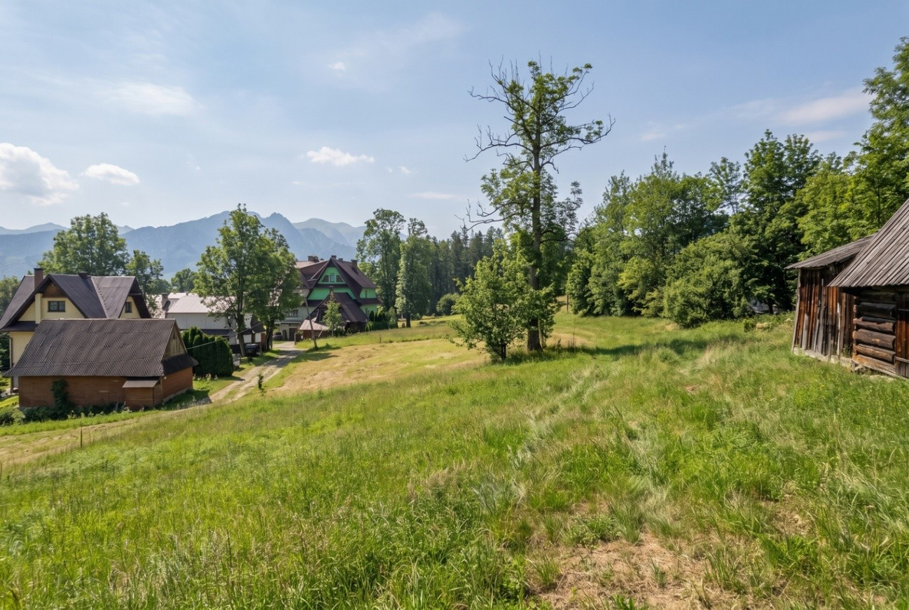 Działka budowlana z drogą - Zwijacze, Zakopane - Widok 5
