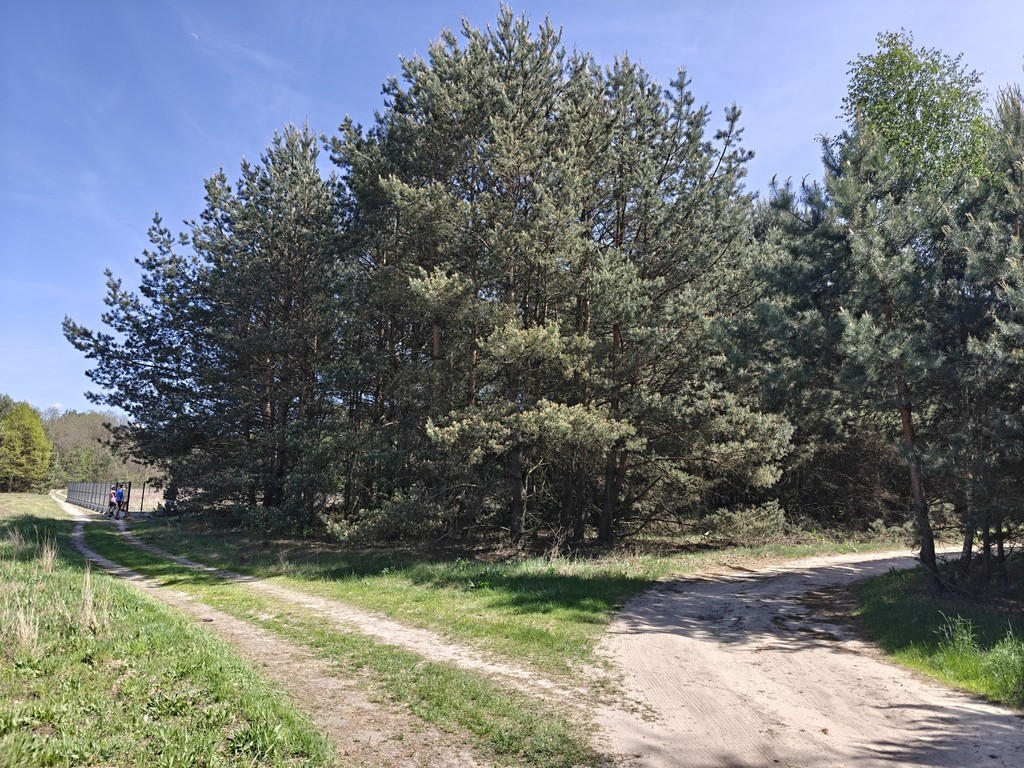 Michałów - urokliwa działka budowlana 5500 m² - Więcej