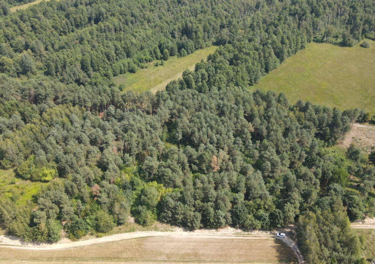 Dziecinów | działka rolna 5 885 m² - Widok 2