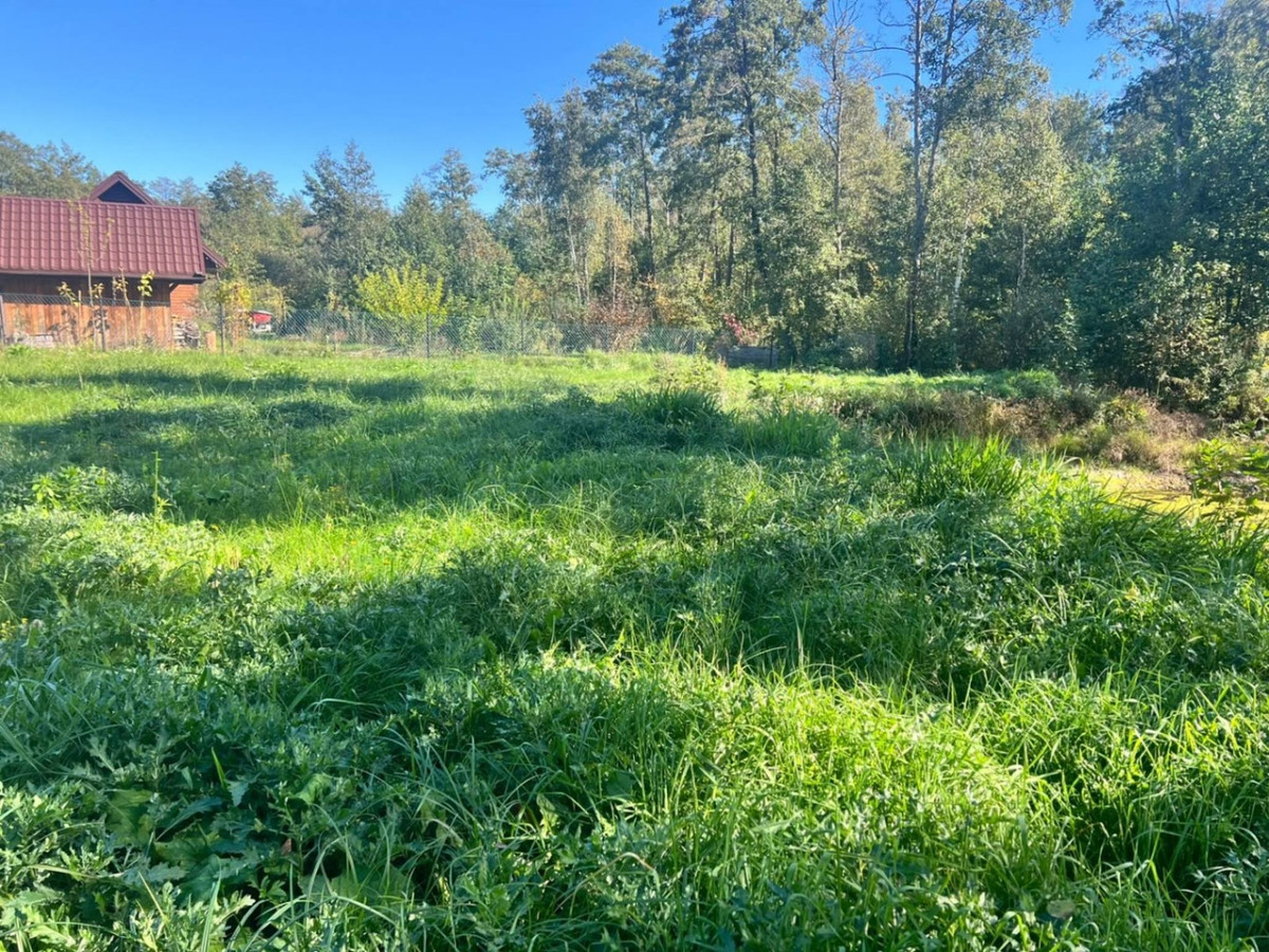 *Działka letniskowa*WZ*Grabniak*Urszulin*3002 m²* - Widok 5