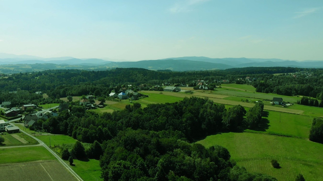 Działka rolna z dopuszczeniem zabudowy zagrodowej | 2393 m² - Widok 5