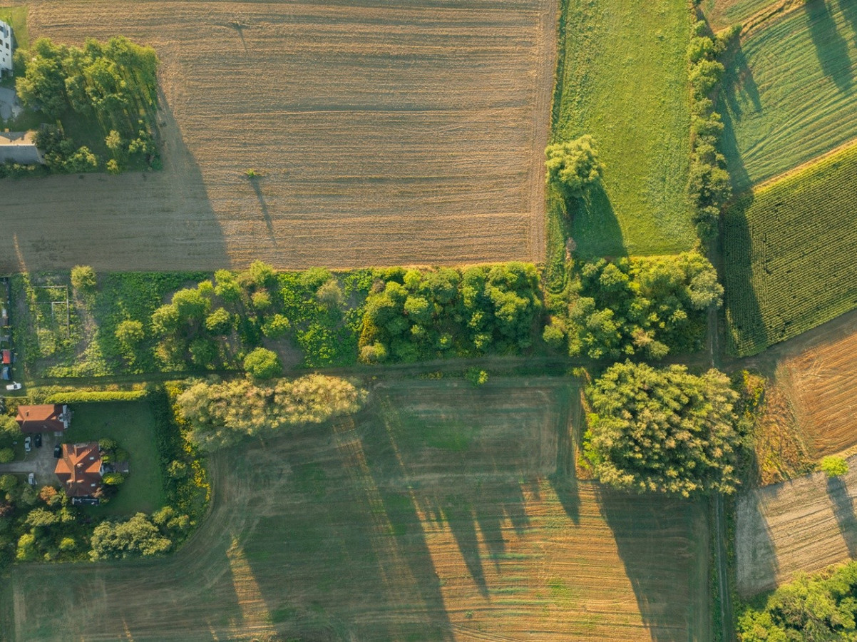 80 arów | pozwolenie na budowę 2 domów - Widok 5