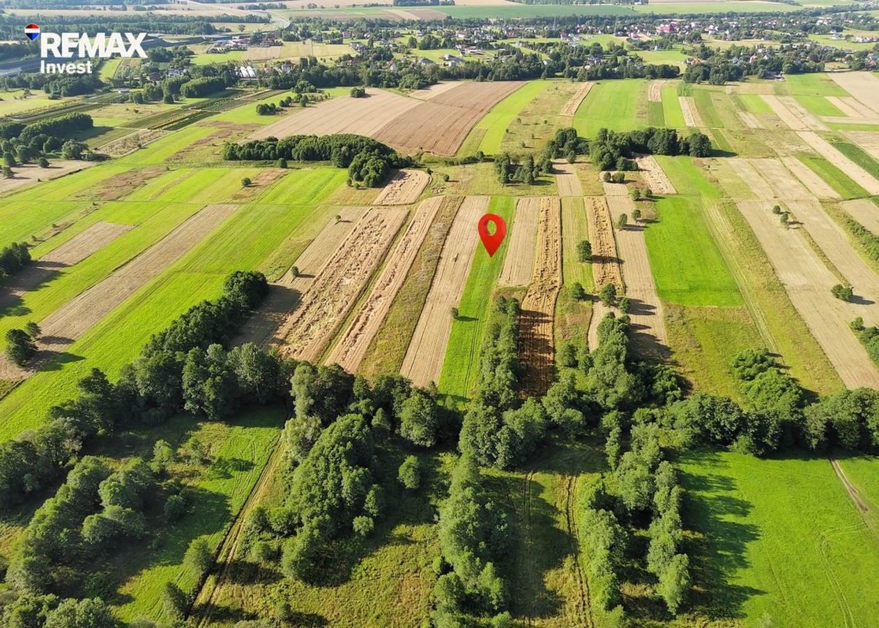 Działka rolna blisko natury - Widok 3