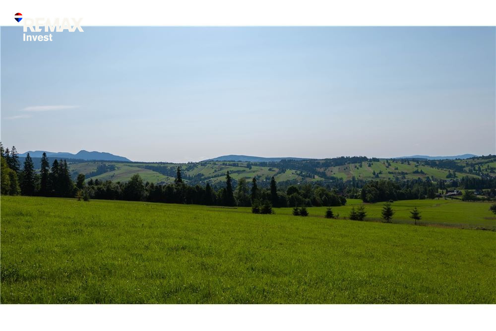 Spokojna działka z pięknym widokiem na Tatry - Widok 4