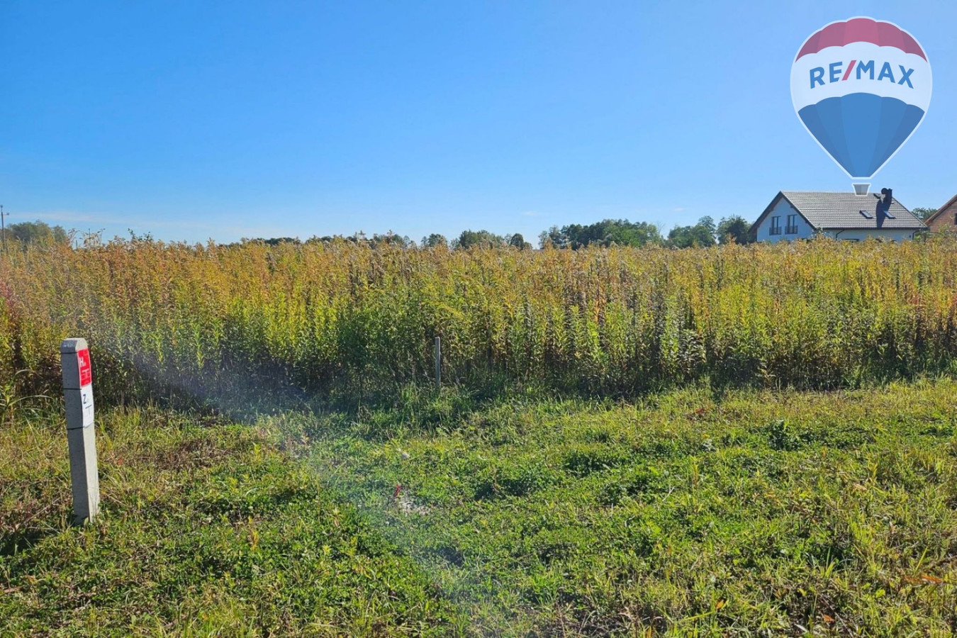 Działka budowlana 1005 m², Benenard, gm. Jaktorów - Widok 5