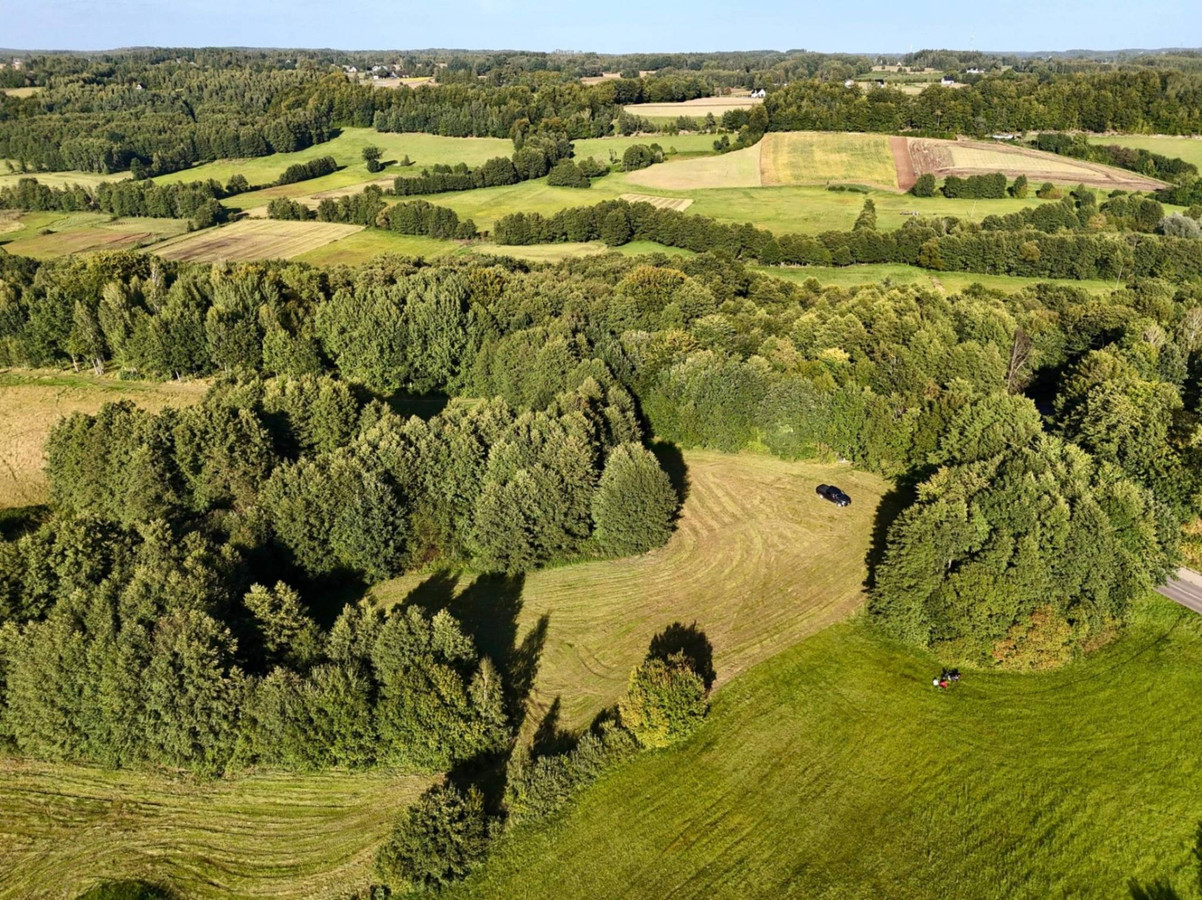 Wyjątkowa działka-Kaszuby, Strysza Buda - Widok 5