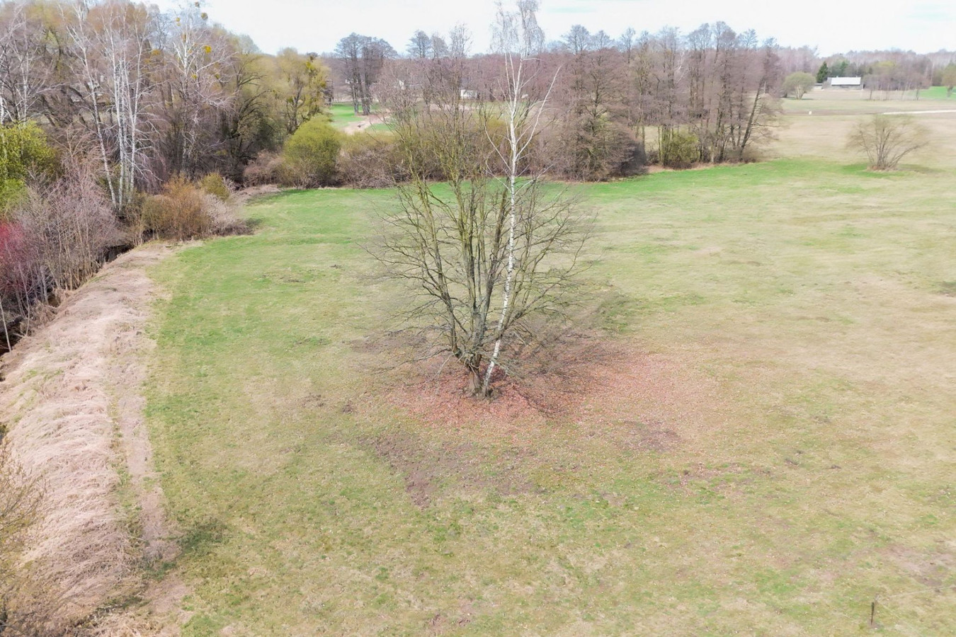 Działka nad rzeką pow. 2288 m² Budy Zosine, WZ - Widok 3