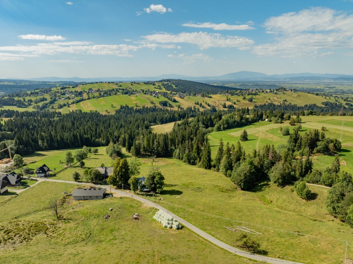 Sierockie - działka 5901 m² - WZtka 4 domy - Widok 4