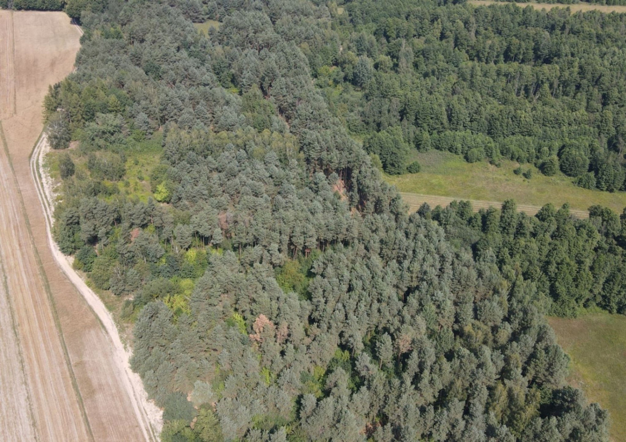 Dziecinów | działka rolna 5 885 m² - Widok 3