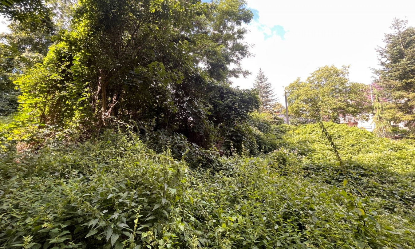 Teren inwestycyjny 3 423 m² (kompleks 4 działek) - Więcej