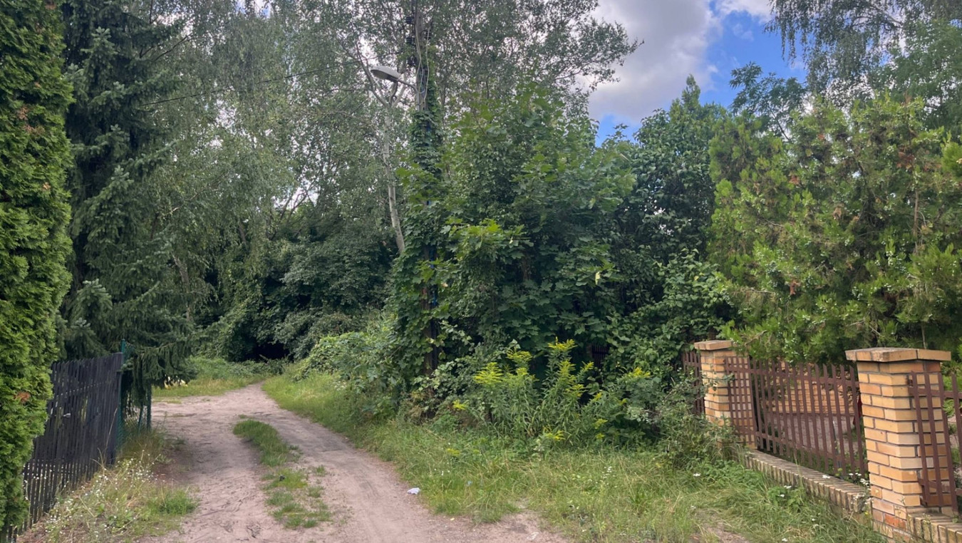 Teren inwestycyjny 3 423 m² (kompleks 4 działek) - Widok 2