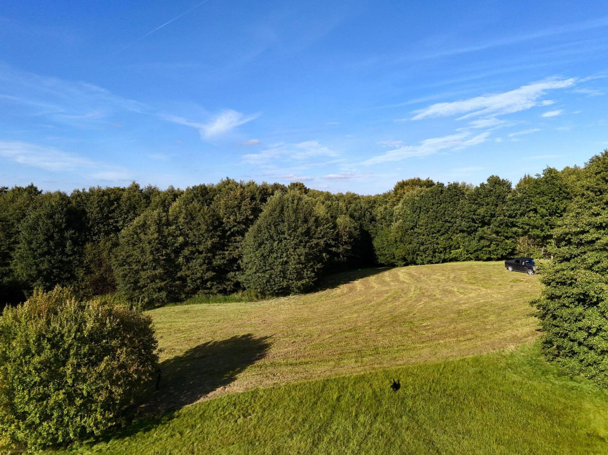 Wyjątkowa działka-Kaszuby, Strysza Buda - Widok 3