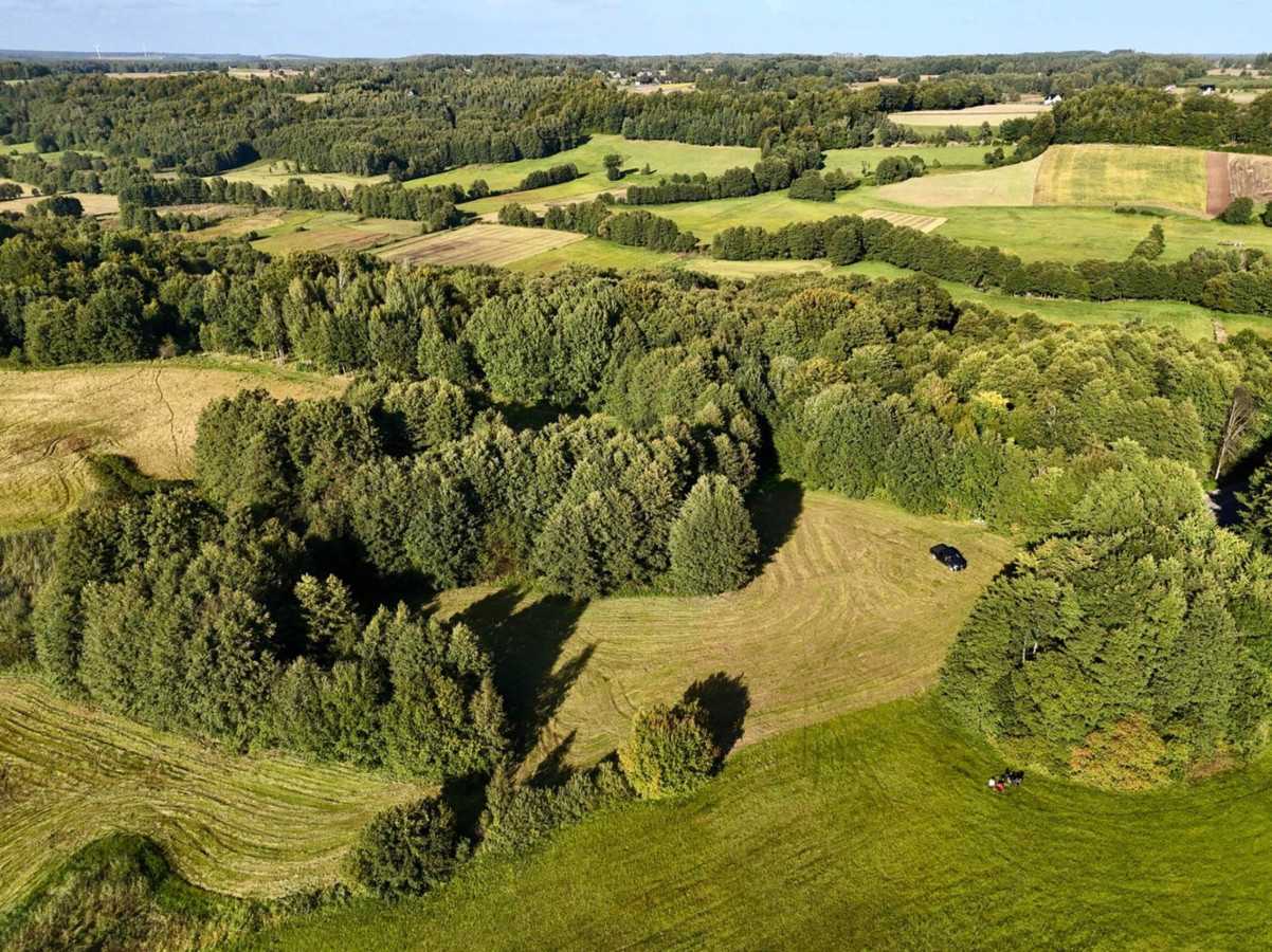 Wyjątkowa działka-Kaszuby, Strysza Buda - Więcej