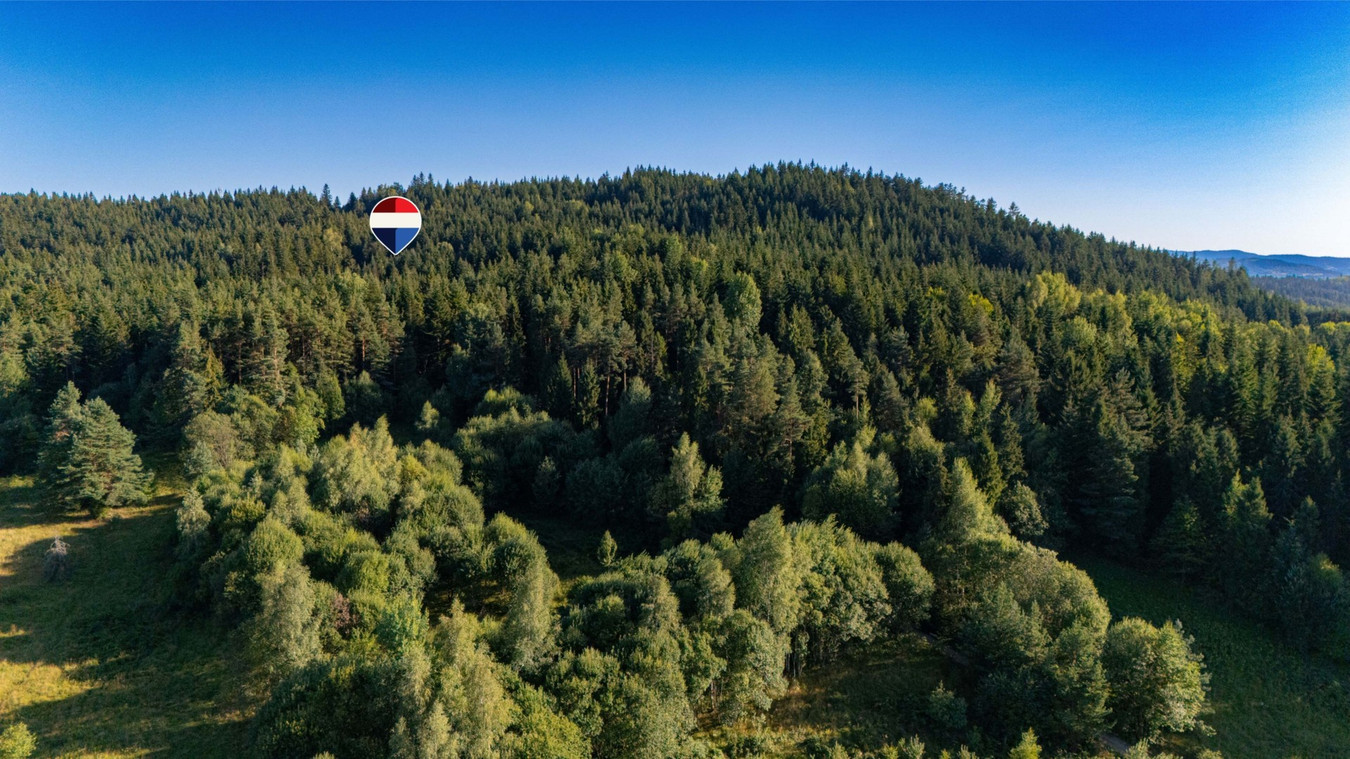 Działka leśna 20 700 m² – Kasina Wielka - Widok 2