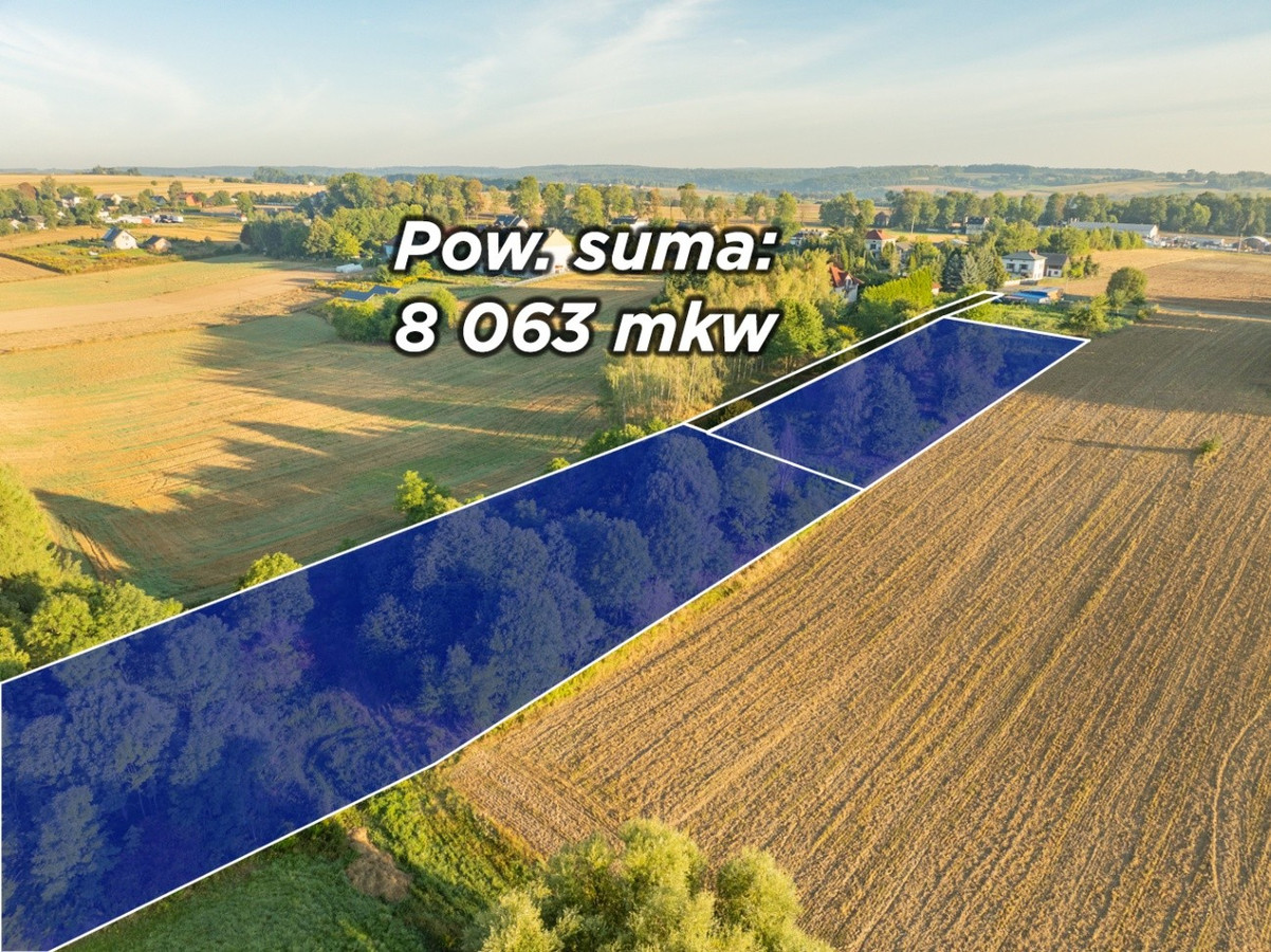 80 arów | pozwolenie na budowę 2 domów - Widok 3