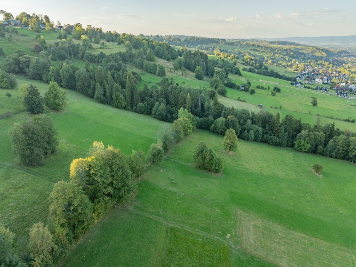 Działka rolna Biały Dunajec Dańkowe - Widok 4