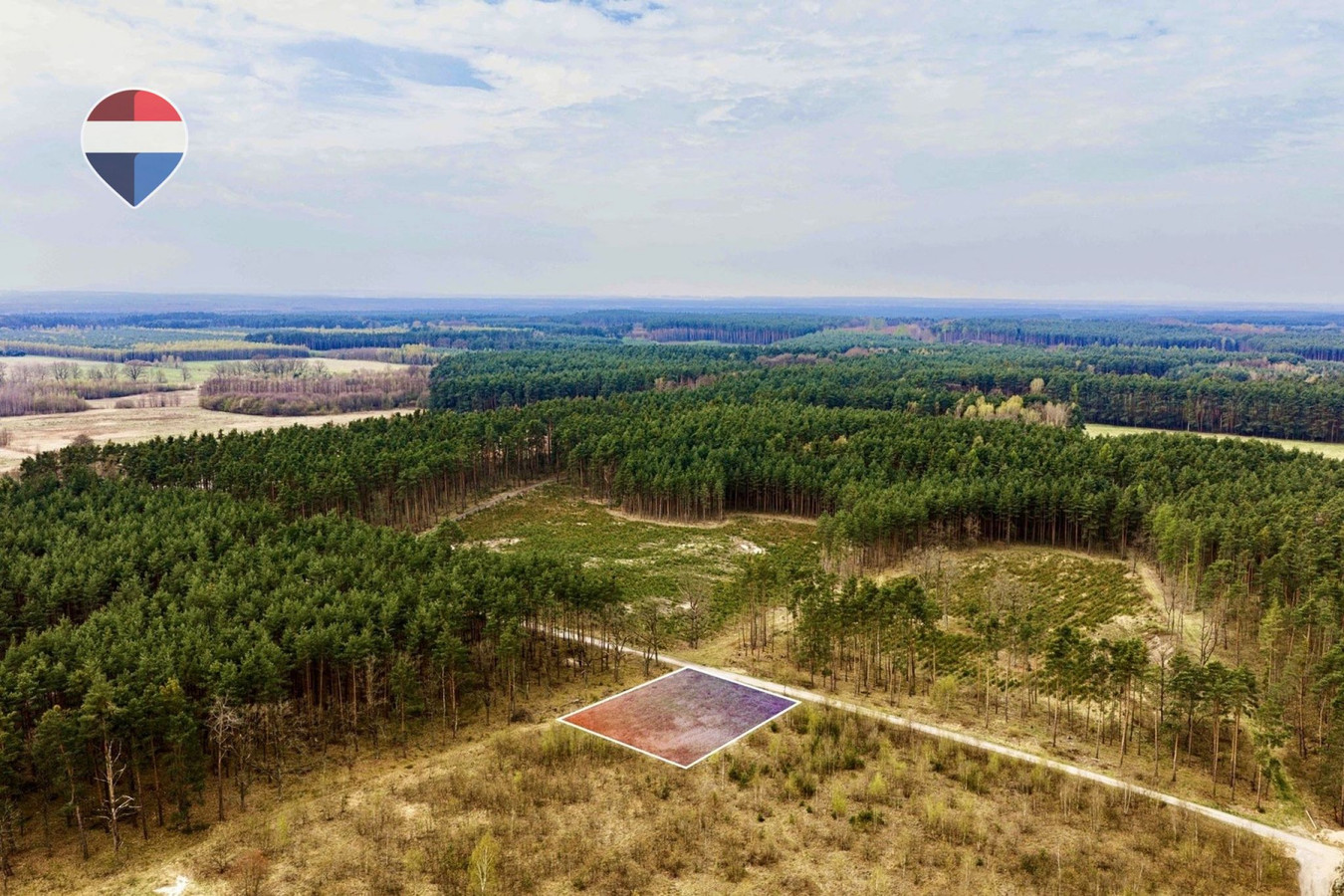 Działka budowlana w bezpośrednim sąsiedztwie lasu - Widok 2