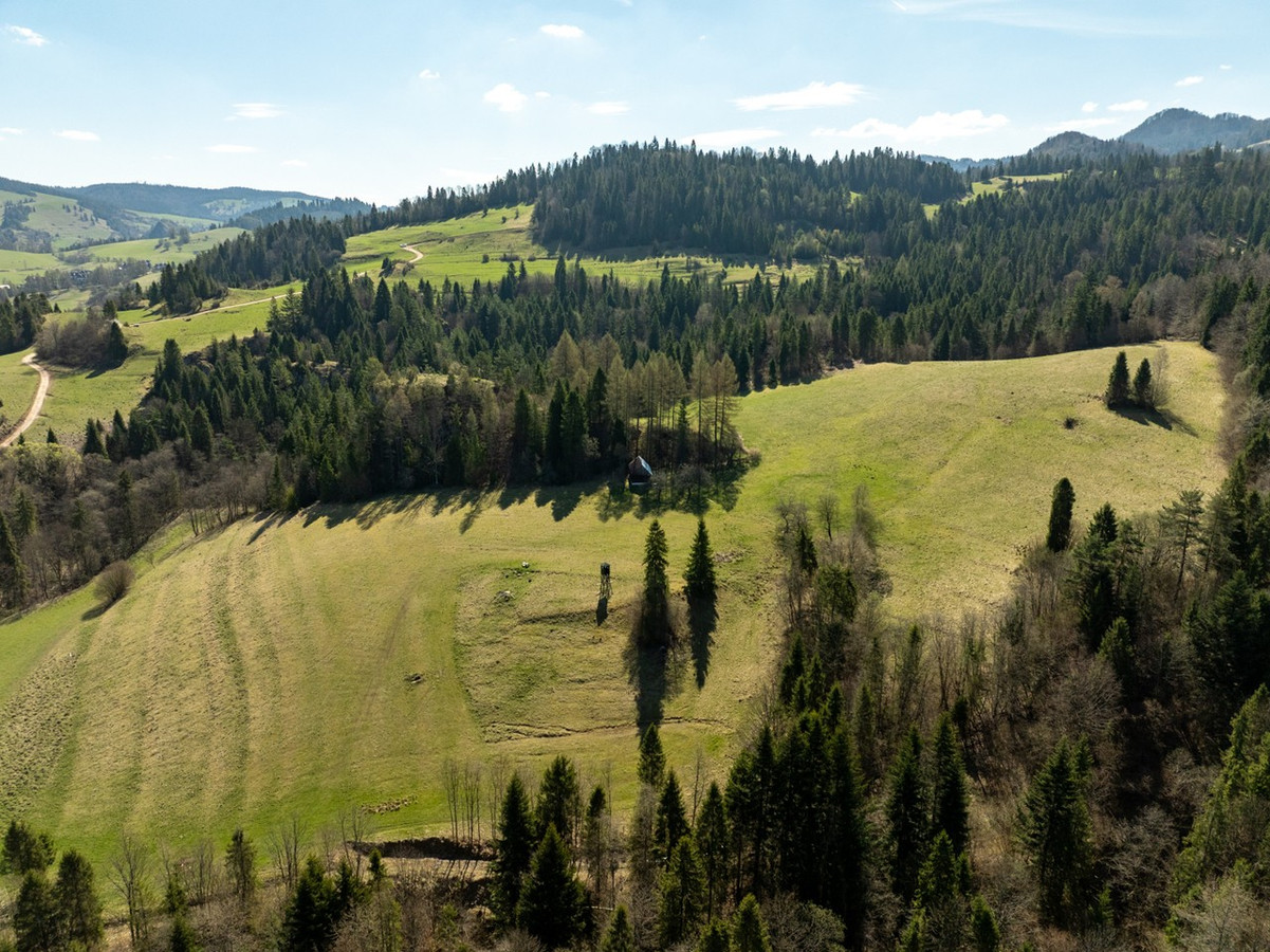 Działka widokowa | Szlachtowa | ok. 1921 m² - View 5