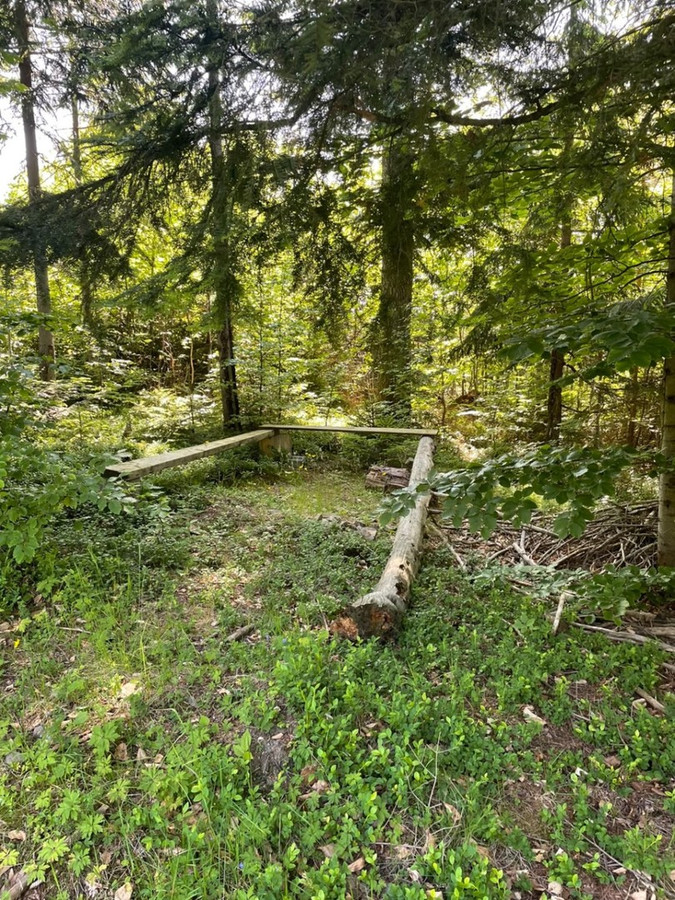 Kup sobie kawałek lasu - Złatna - Widok 4