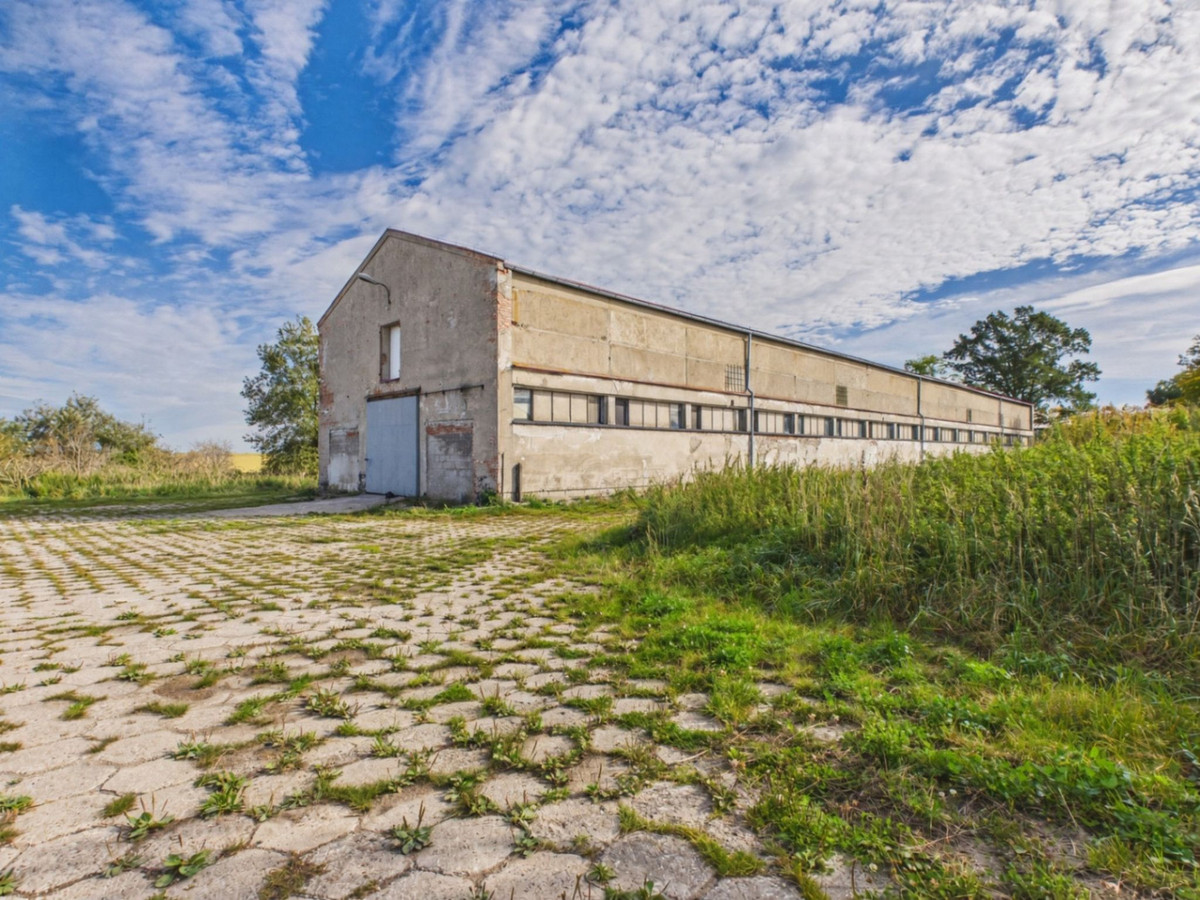 Hala magazynowo-produkcyjna 1800 m², dwie kondygnacje | Sztumska Wieś - Widok 3