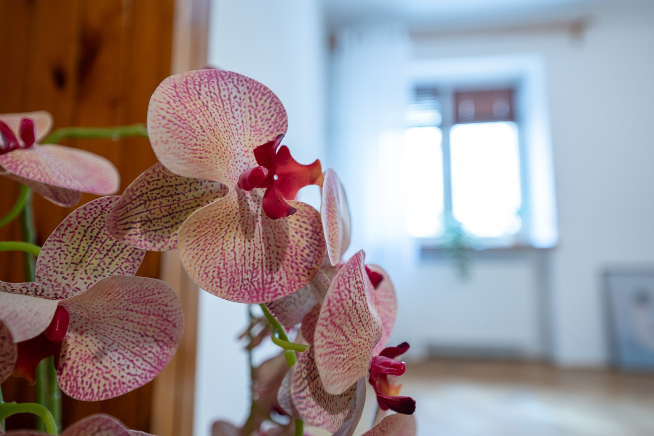 Apartment in Warszawa, Młynów I, Wola - Widok 3