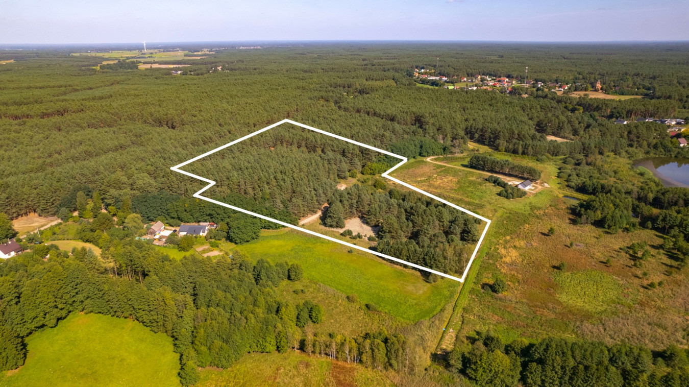 Teren 3,5ha w sercu Puszczy Noteckiej|Prywatny las - Więcej