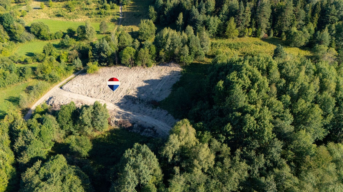 Działka rolna - Sprzedaż - Kasina Wielka Polska - Widok 2