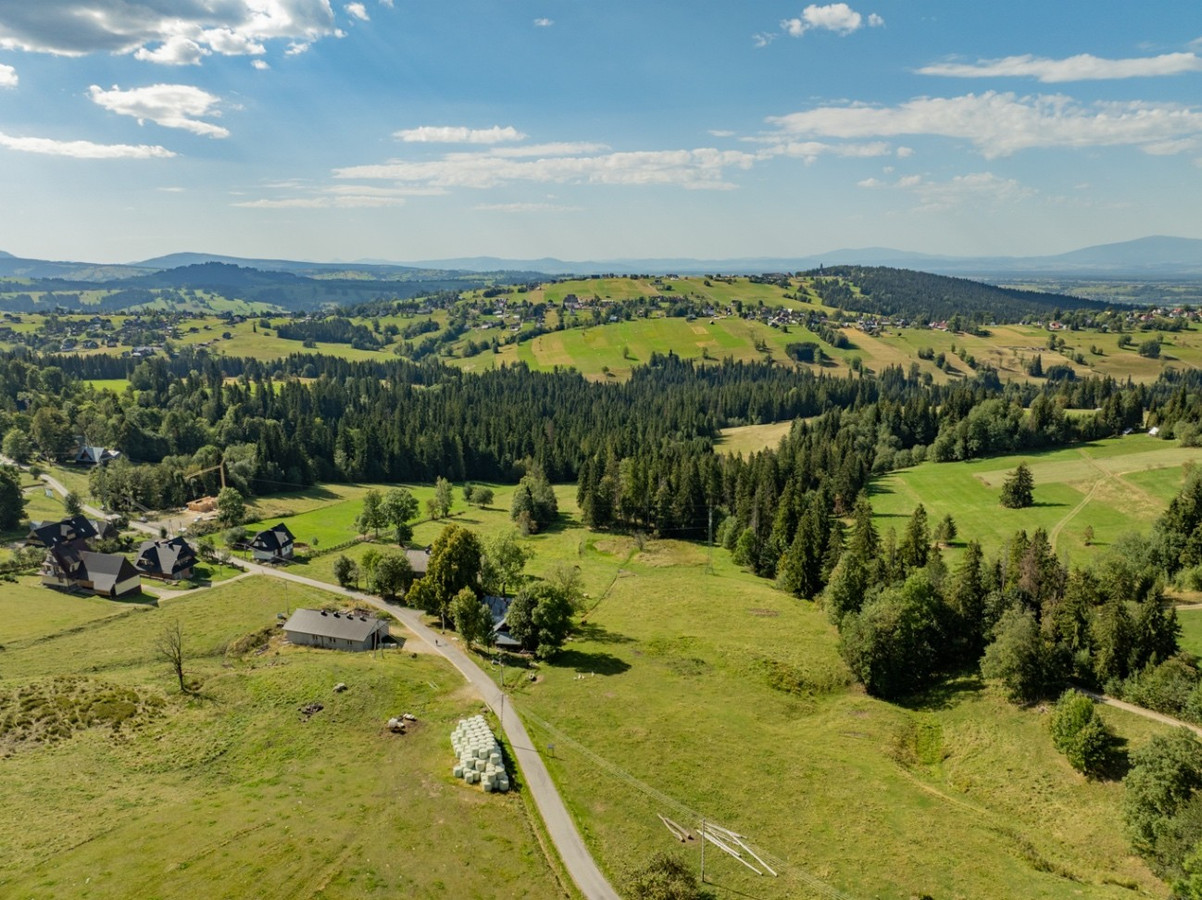 Sierockie - działka 5901 m² - WZtka 4 domy - Widok 5