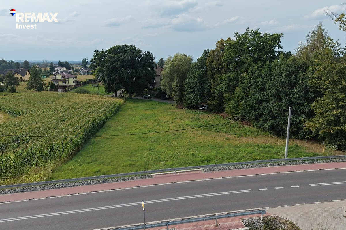 Dankowice 2464 m² MNU | 1,6 km do węzła S1 | Media - Widok 2