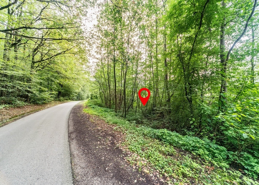 Działka inwestycyjna ze starym młynem - Widok 3