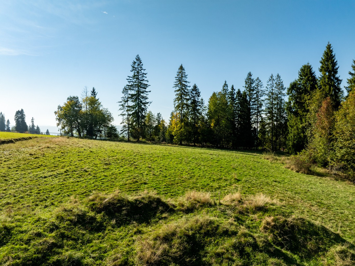 Tatry w zasięgu wzroku | działka 2991 m² - Więcej