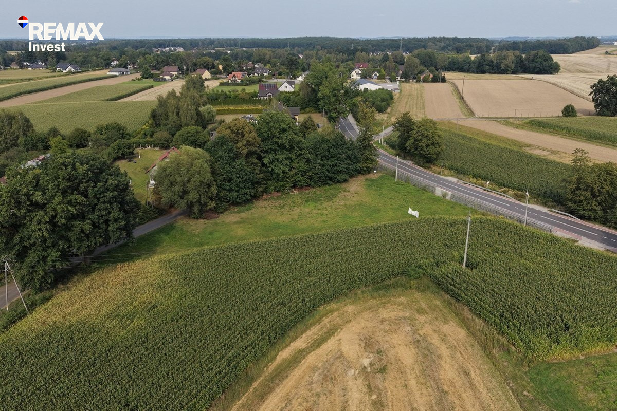 Dankowice 2464 m² MNU | 1,6 km do węzła S1 | Media - Widok 4