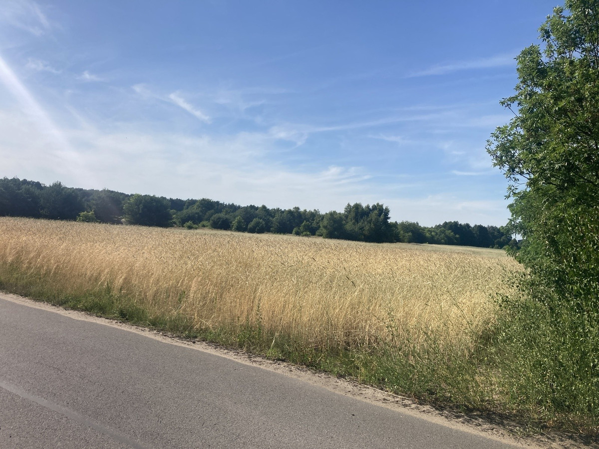 Działka 611 m², Ruda k. Radzymina, MPZP, media - Widok 4