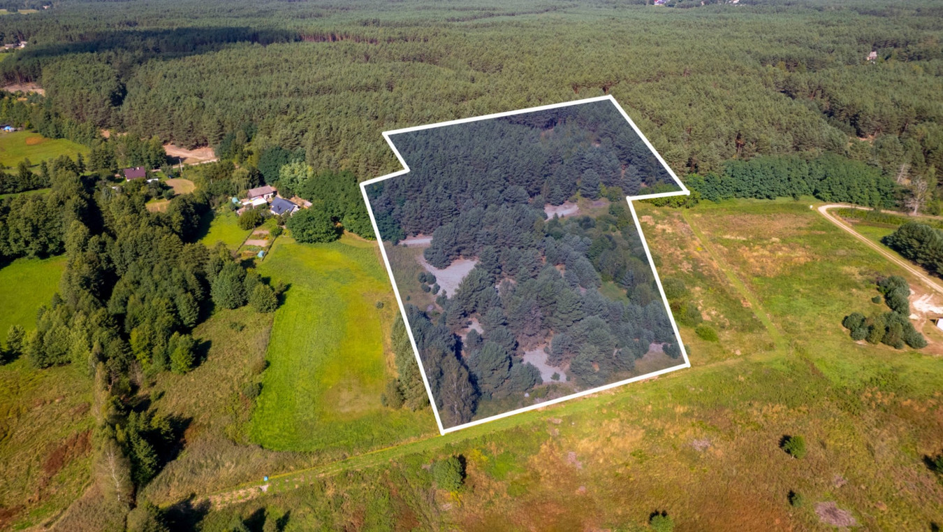 Teren 3,5ha w sercu Puszczy Noteckiej|Prywatny las - Widok 3