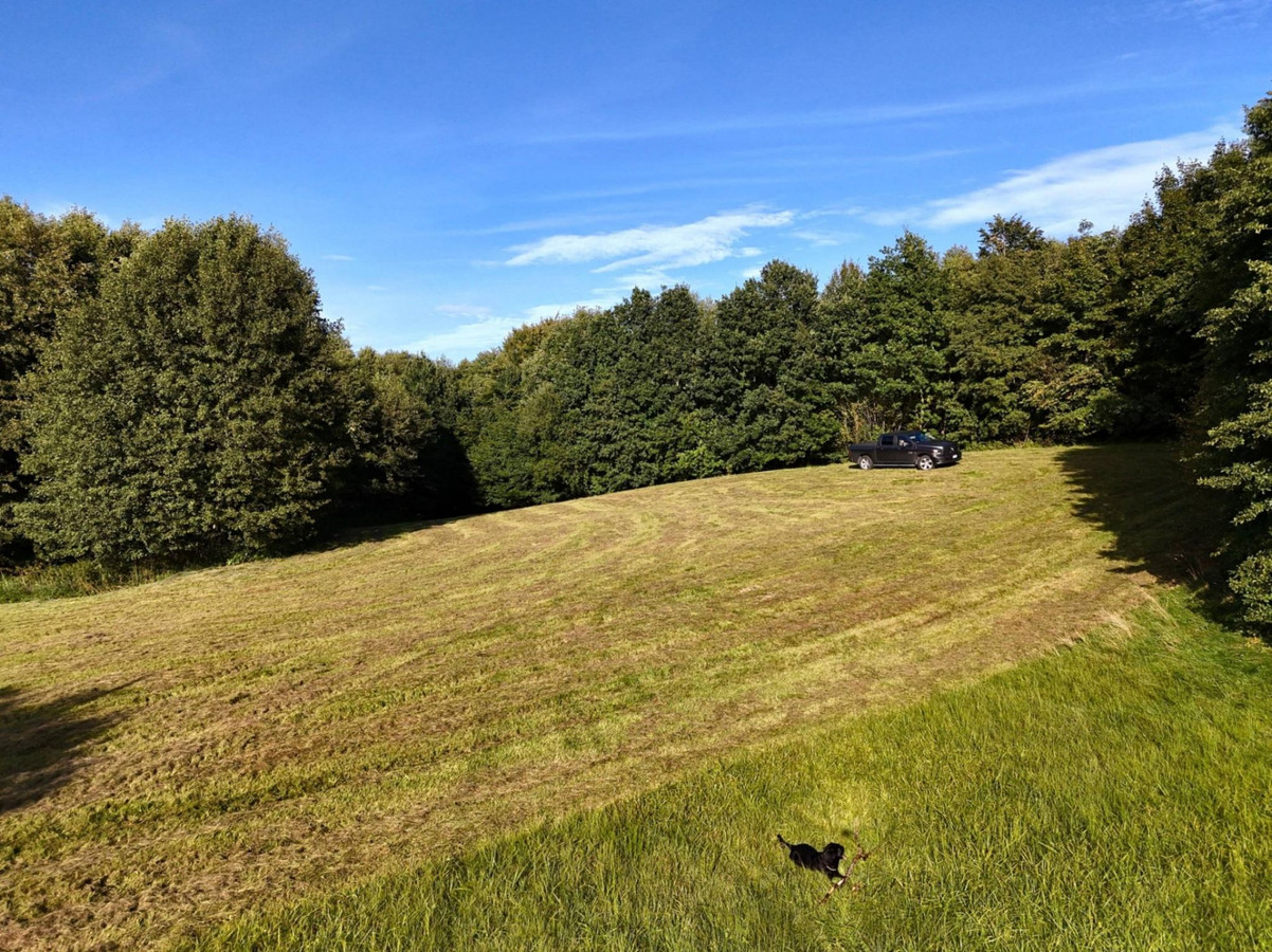 Wyjątkowa działka-Kaszuby, Strysza Buda - Widok 4