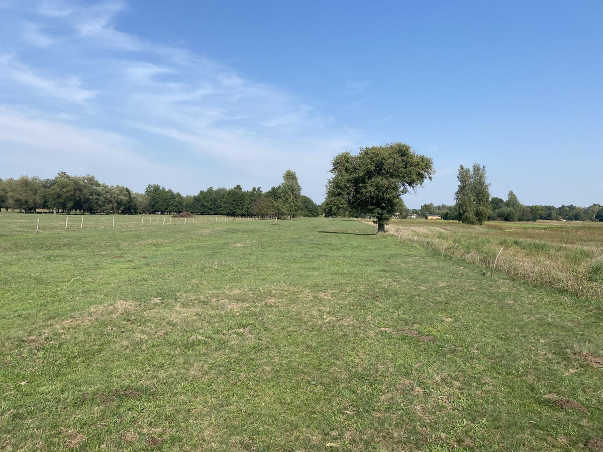 Działka nad rzeką Liwiec - Widok 2